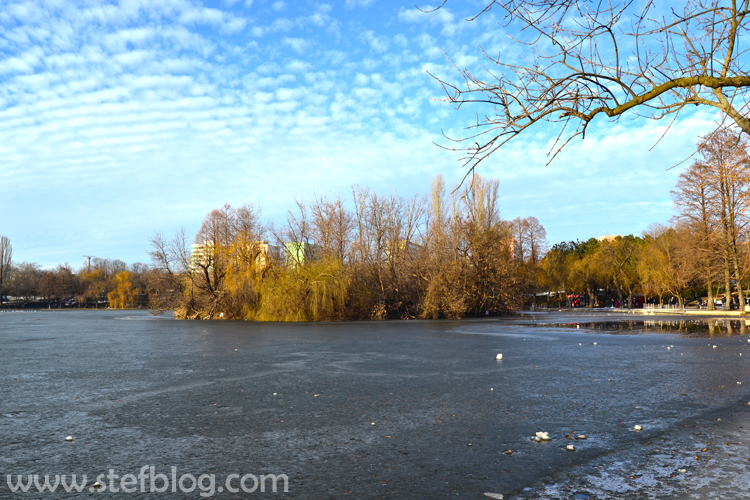 Peisaj-de-iarna-Parcul-IOR-din-Bucuresti