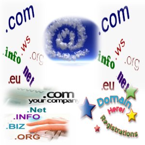 Inregistrarea domeniilor web